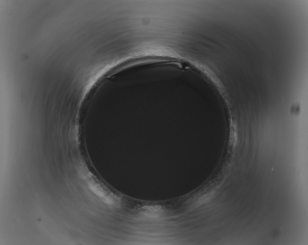 X0000111510391200907281319
