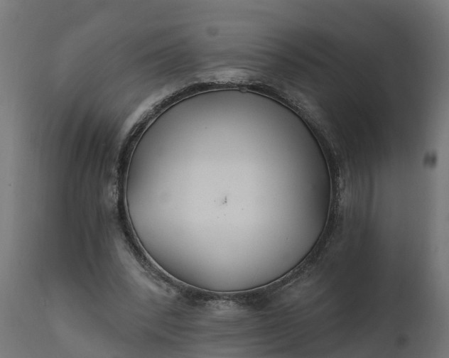 X0000111510392200907281319