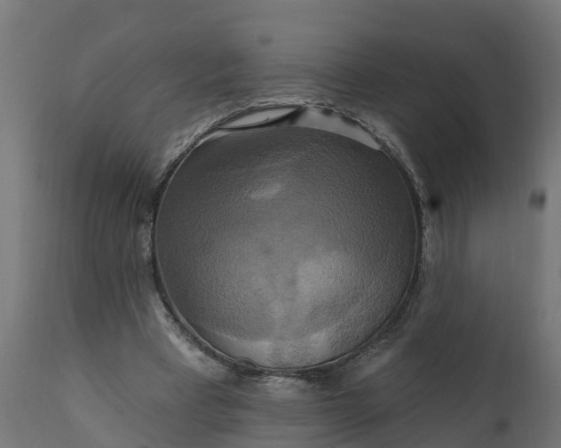 X0000111510393200907281319