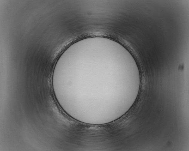 X0000111510394200907281319
