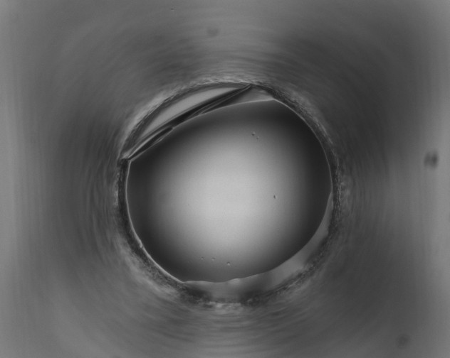 X0000111510395200907281319