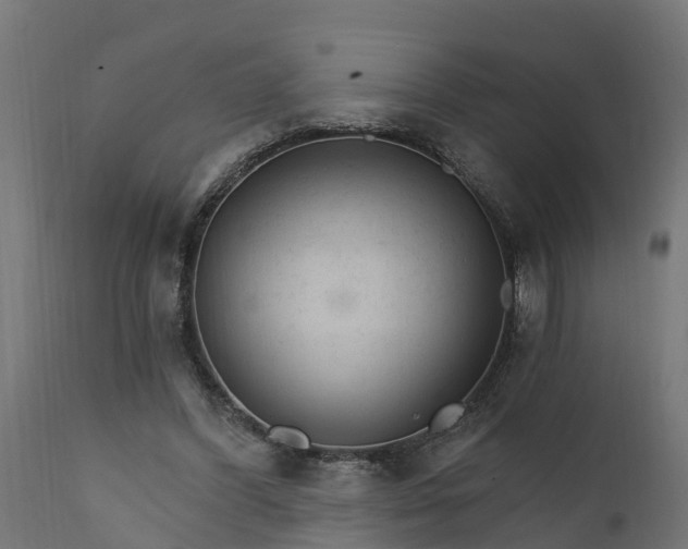 X0000111510396200907281319