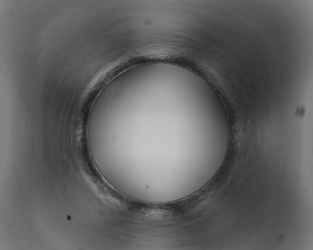 X0000111510400200907281319