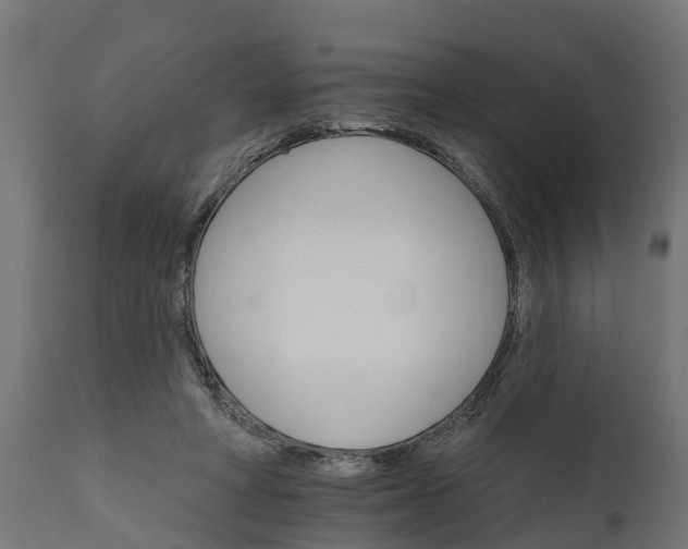X0000111510402200907281319