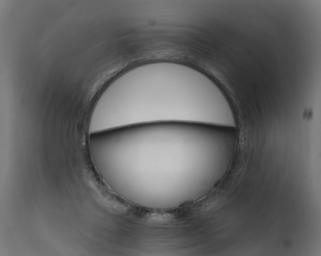 X0000111510403200907281319