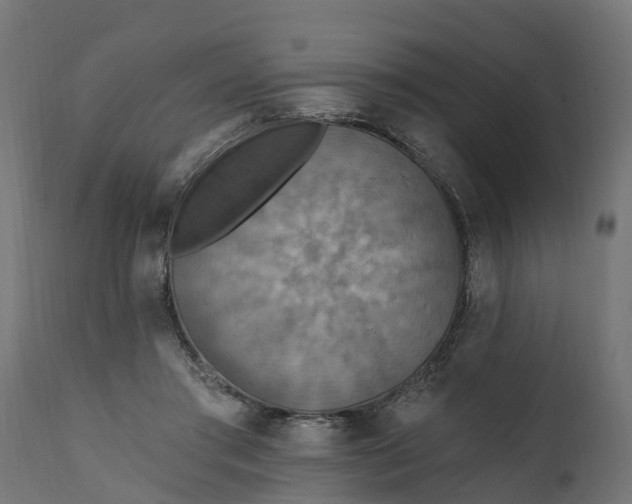 X0000111510405200907281319