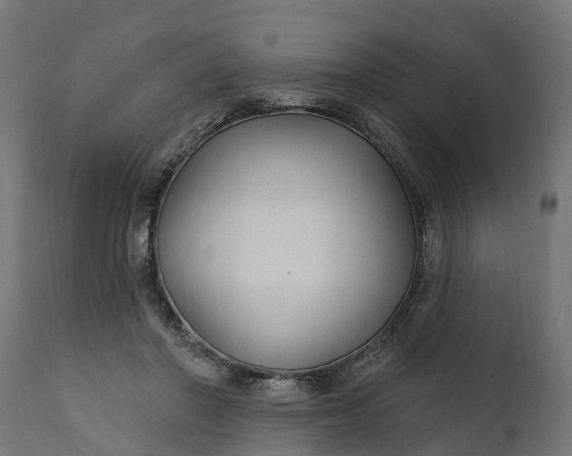 X0000111510406200907281319