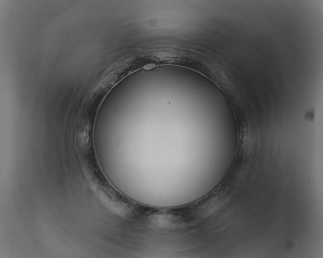 X0000111510408200907281319