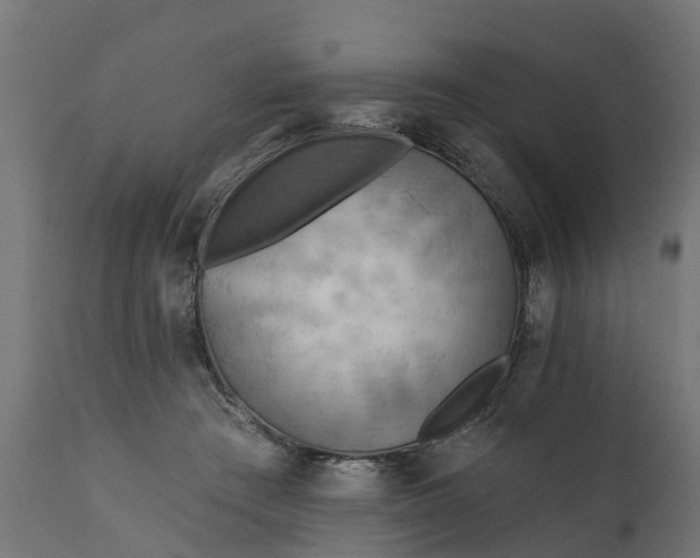 X0000111510409200907281319