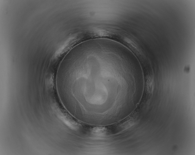 X0000111510410200907281319