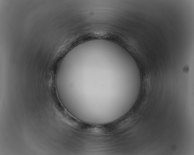 X0000111510412200907281319