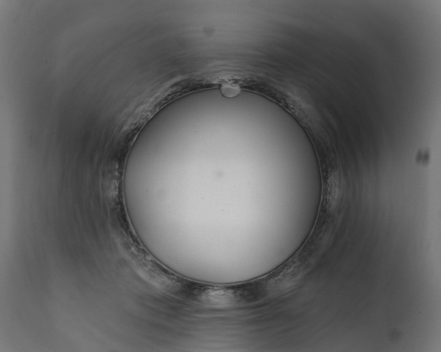X0000111510413200907281319
