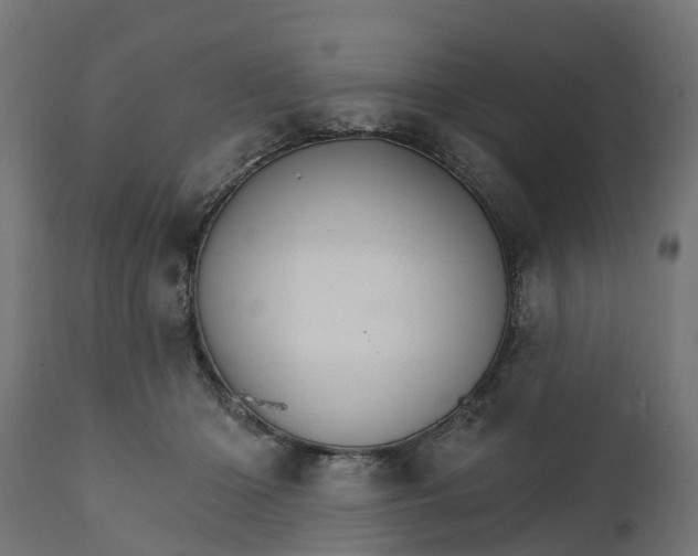 X0000111510414200907281319