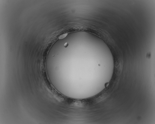 X0000111510416200907281319