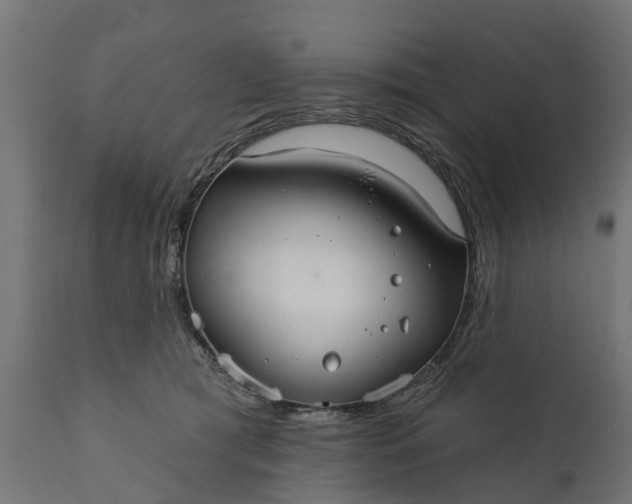 X0000111510417200907281319