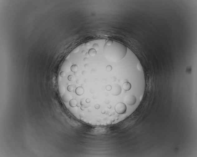 X0000111510418200907281319