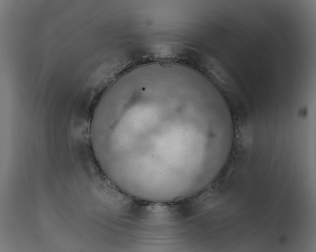 X0000111510419200907281319