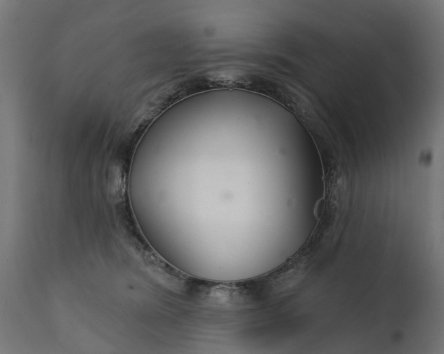 X0000111510420200907281319