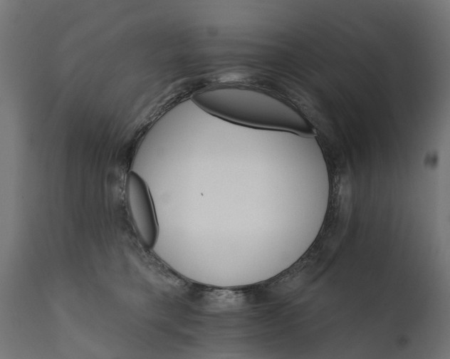 X0000111510421200907281319