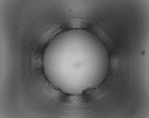 X0000111510422200907281319