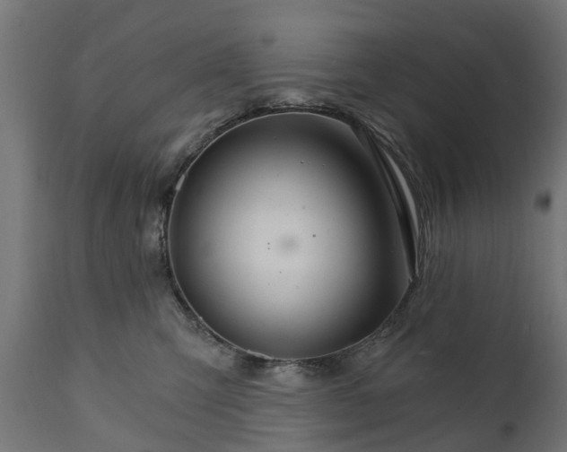 X0000111510423200907281319