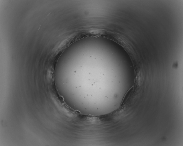 X0000111510424200907281319
