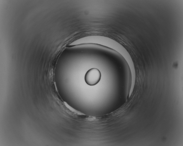 X0000111510425200907281319
