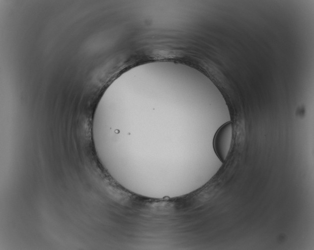 X0000111510426200907281319