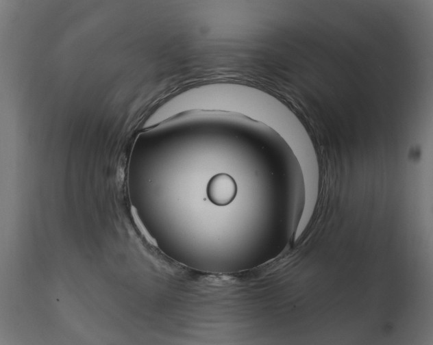 X0000111510427200907281319