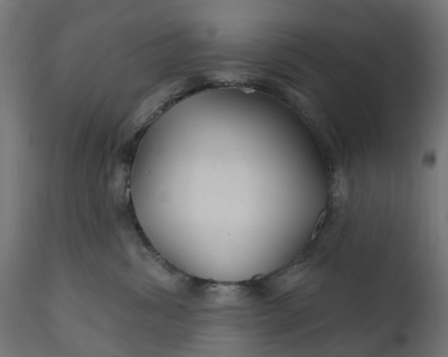 X0000111510428200907281319