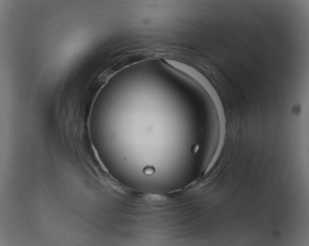 X0000111510429200907281319