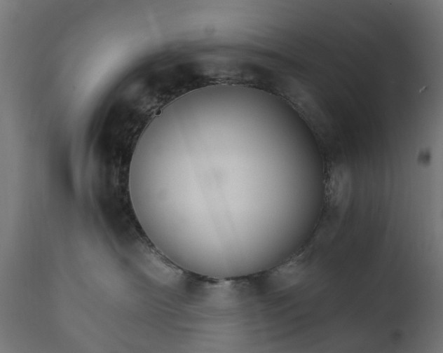 X0000111510430200907281319