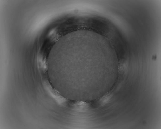 X0000111510431200907281319