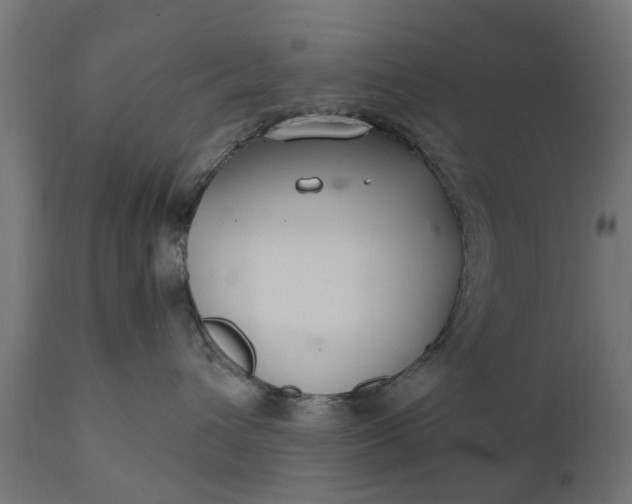X0000111510432200907281319