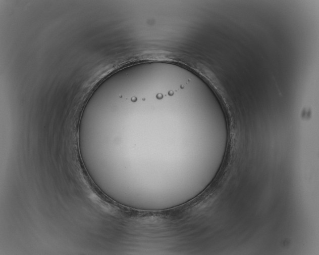 X0000111510433200907281318