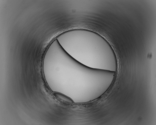 X0000111510434200907281318