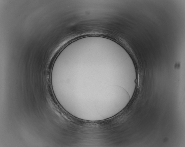 X0000111510435200907281318