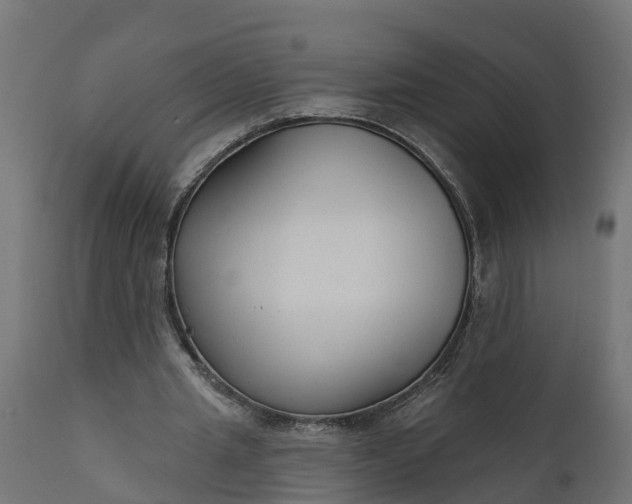 X0000111510437200907281318