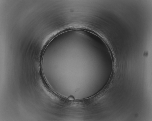 X0000111510438200907281318