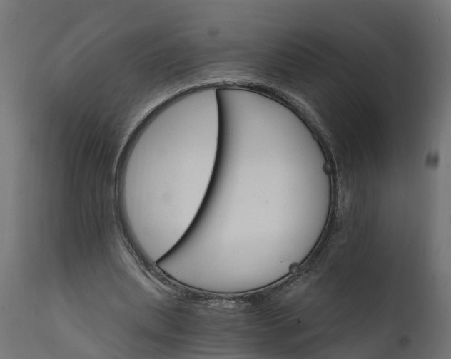 X0000111510439200907281318