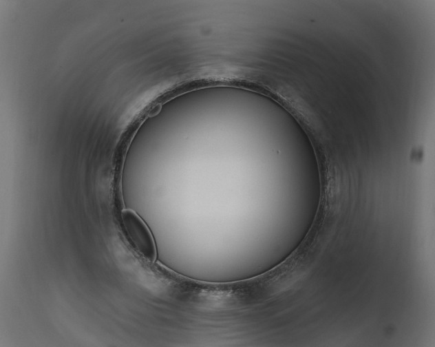 X0000111510440200907281318