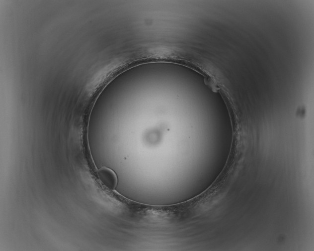 X0000111510442200907281318