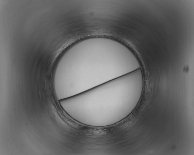 X0000111510443200907281318
