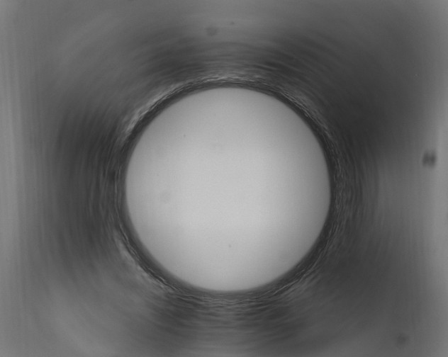 X0000111510444200907281318