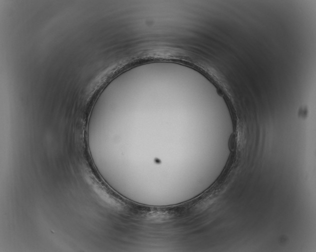X0000111510445200907281318