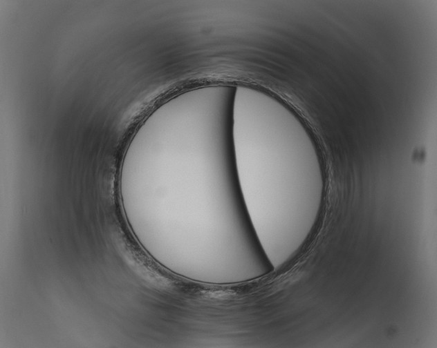 X0000111510446200907281318