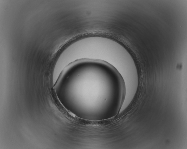 X0000111510448200907281318