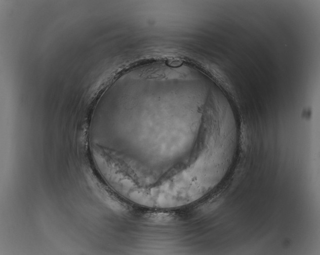X0000111510449200907281318