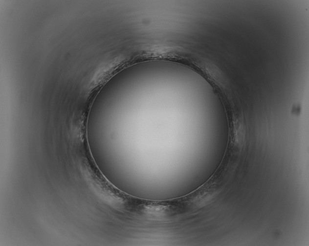 X0000111510450200907281318
