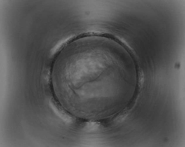 X0000111510451200907281318